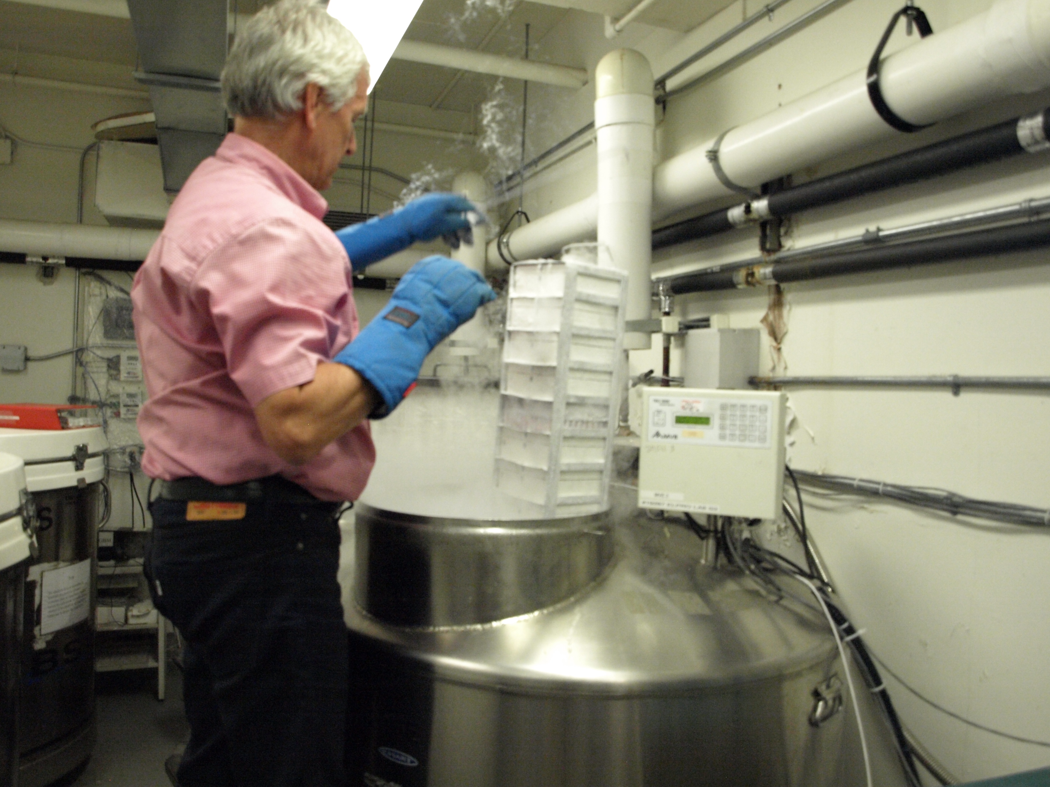 Les prélèvements sont conservés dans une cuve d'azote à -196 degrés Celsius.