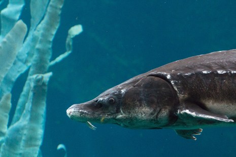 Anniversaire Du Biodome 25 Ans De Souvenirs Et D Anecdotes Anniversaire Du Biodome 25 Ans De Souvenirs Et D Anecdotes