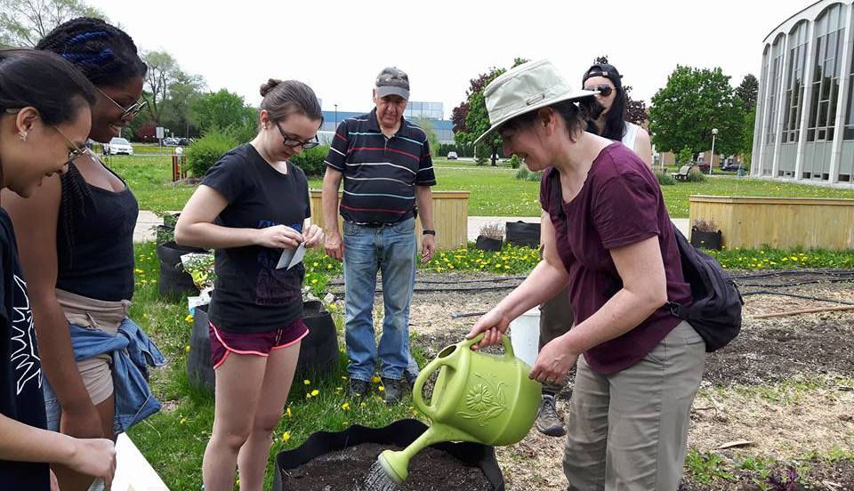 Les jardins Skawanoti servent de lieu de formation à l'agriculture urbaine, dont la production est donnée à des partenaires, vendue ou redistribuée.