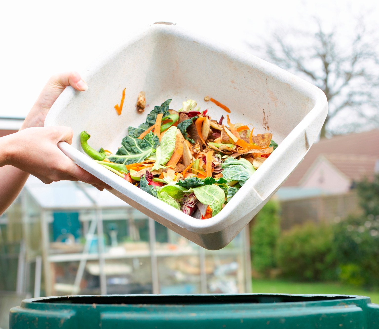 Compost your food waste