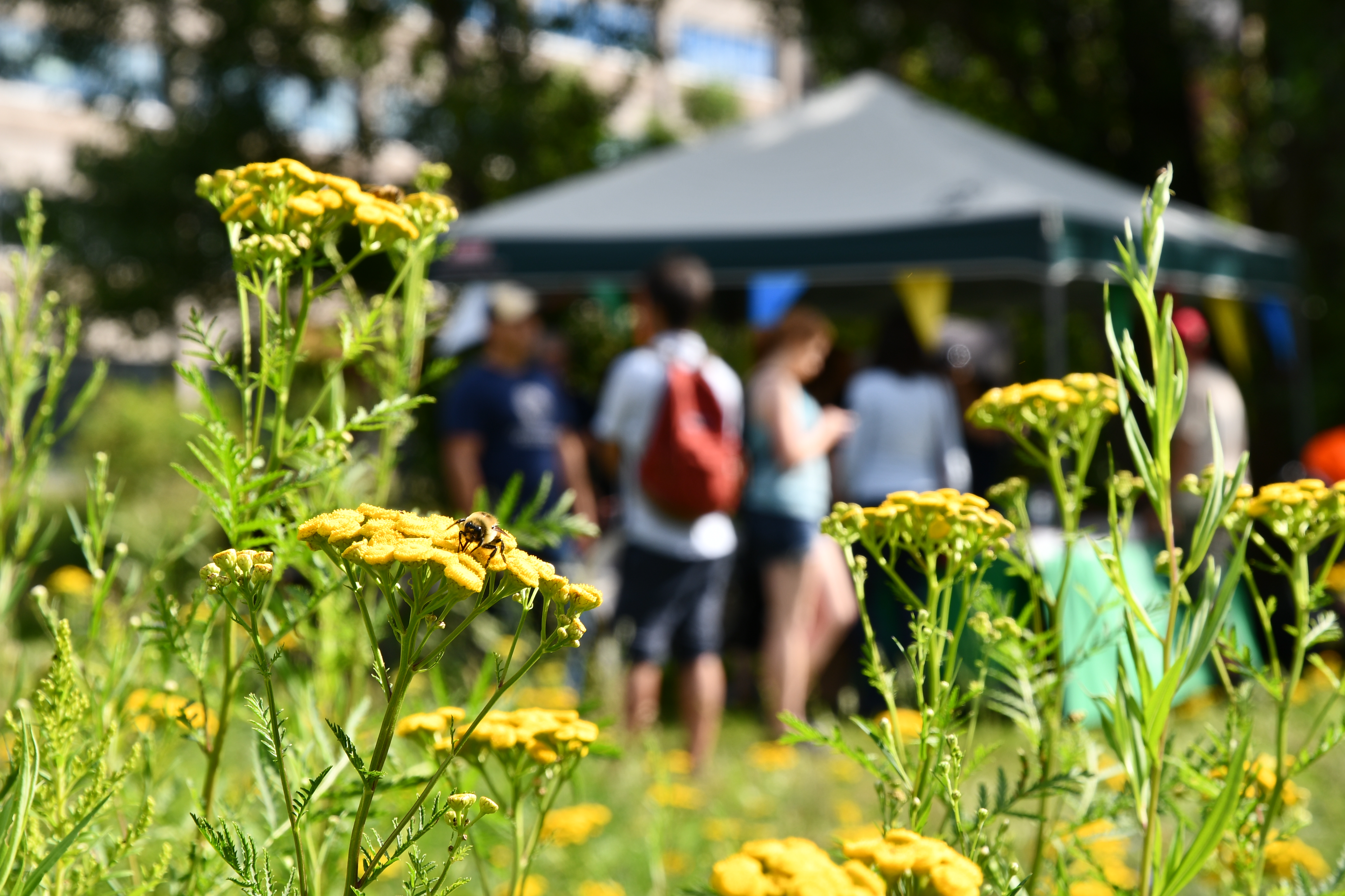 marc-sardi-wwf-canada.