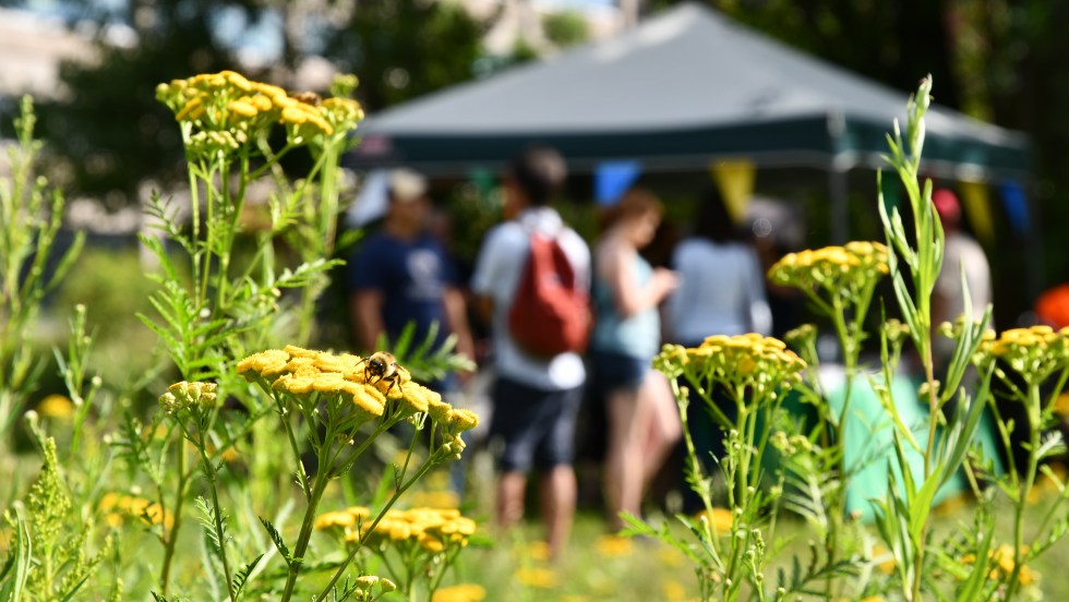 marc-sardi-wwf-canada.