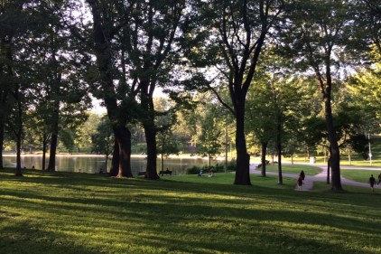 Le Plateau verdit un îlot de chaleur dans un secteur en pleine effervescence