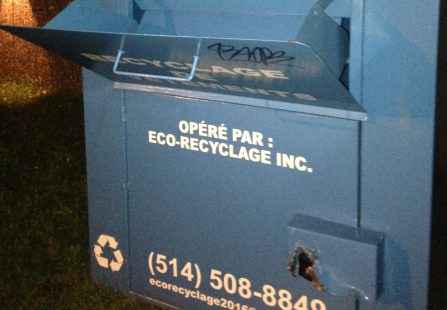 Les agents du SIM ont coupé la serrure du conteneur pour libérer le chaton.