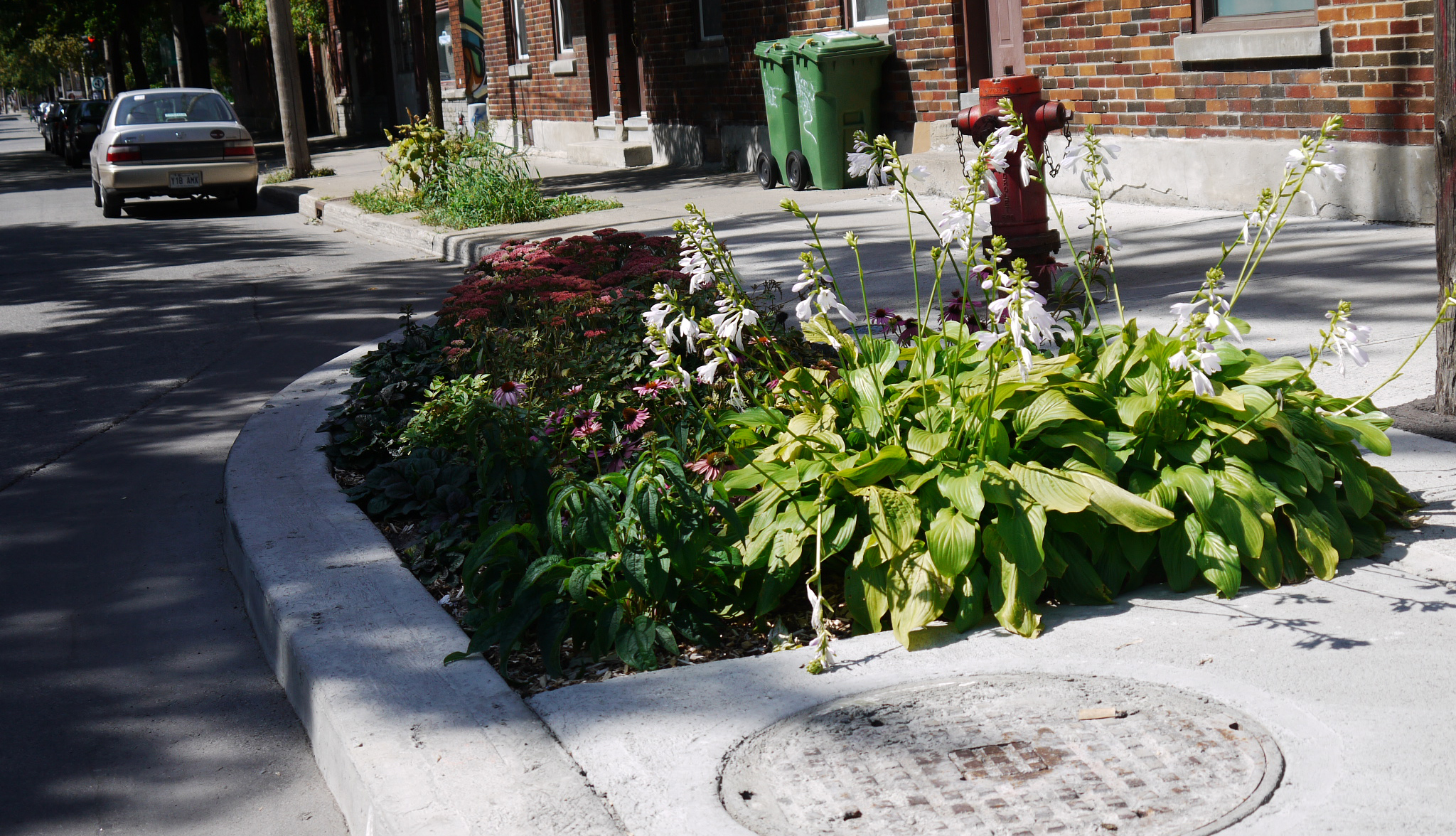 Plus de 3300 intersections ont été analysées pour démontrer l'efficacité des saillies de trottoir et des dos d'âne.