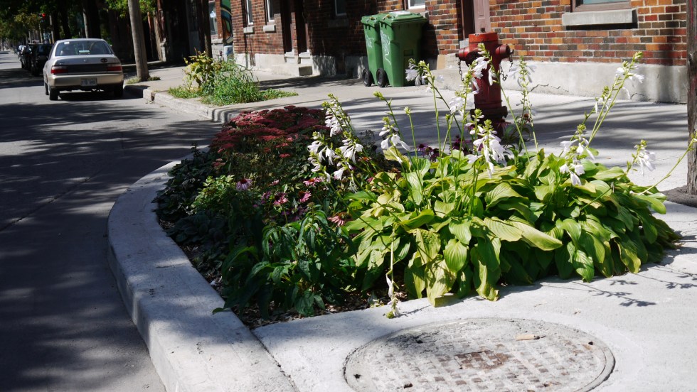 Plus de 3300 intersections ont été analysées pour démontrer l'efficacité des saillies de trottoir et des dos d'âne.