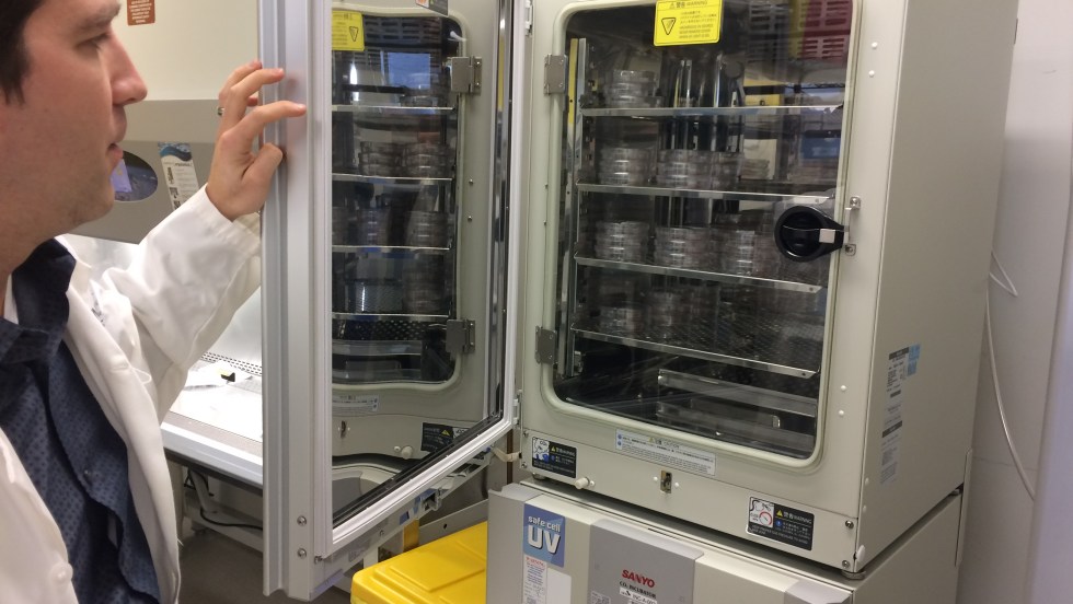 Martin Giroux, chef de laboratoire de thérapie cellulaire au CETC.