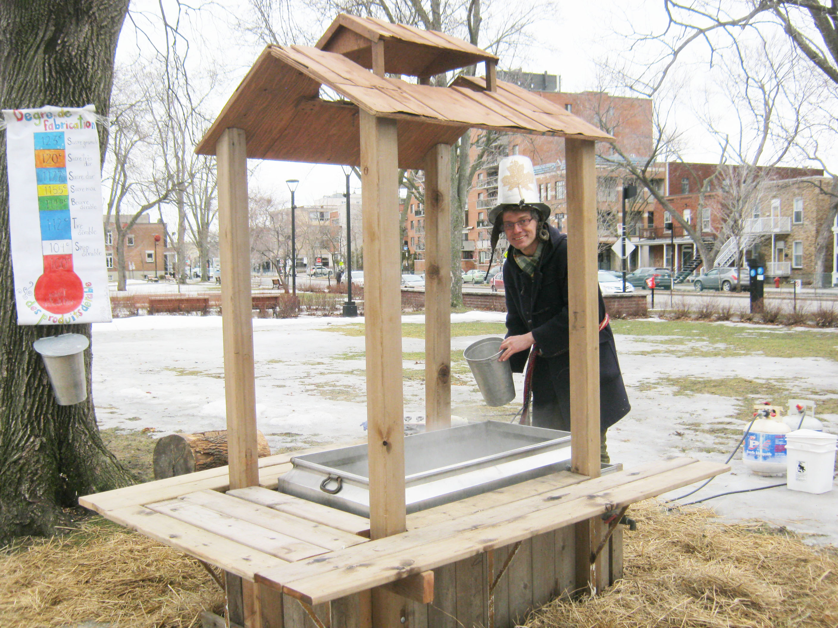 Le Capitaine Sirop est à l'origine d'érablières urbaines depuis 14 ans.