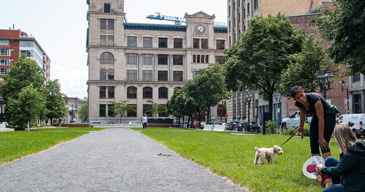 Ensemble Montréal appuierait l’agrandissement du musée Pointe-à-Callière