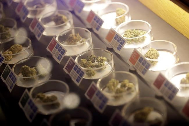 Du cannabis sera vendu sur la Plaza dès le mois d'octobre.