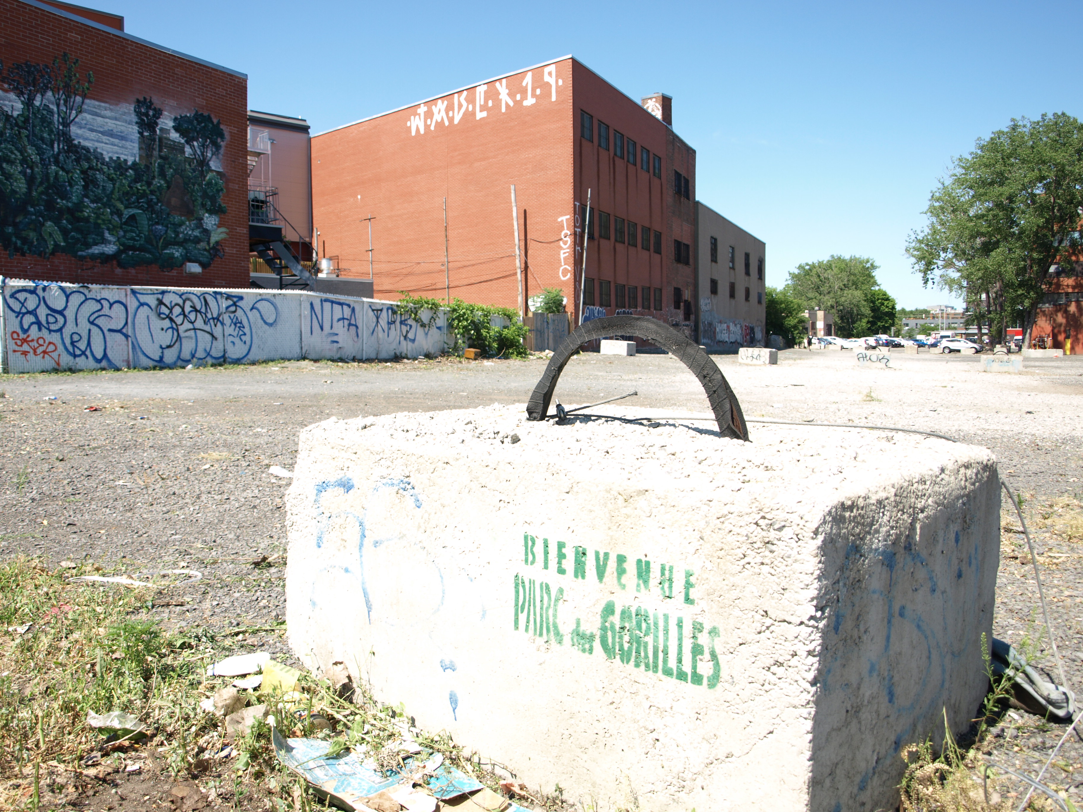 Aujourd'hui, le Parc des Gorilles demeure un espace minéralisé.