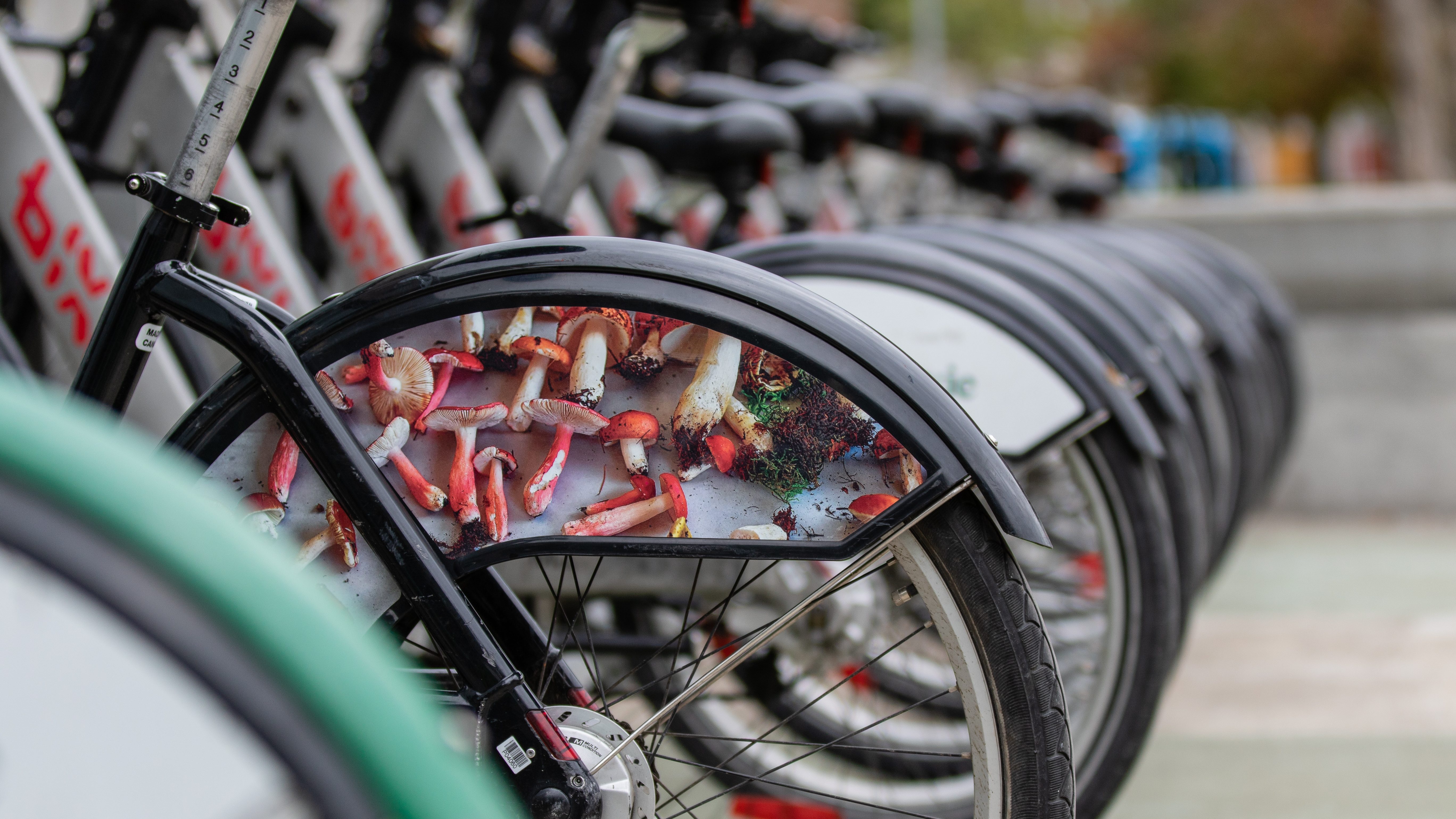 16 M$ aux créanciers de BIXI: la demande d'autorisation de Montréal rejetée