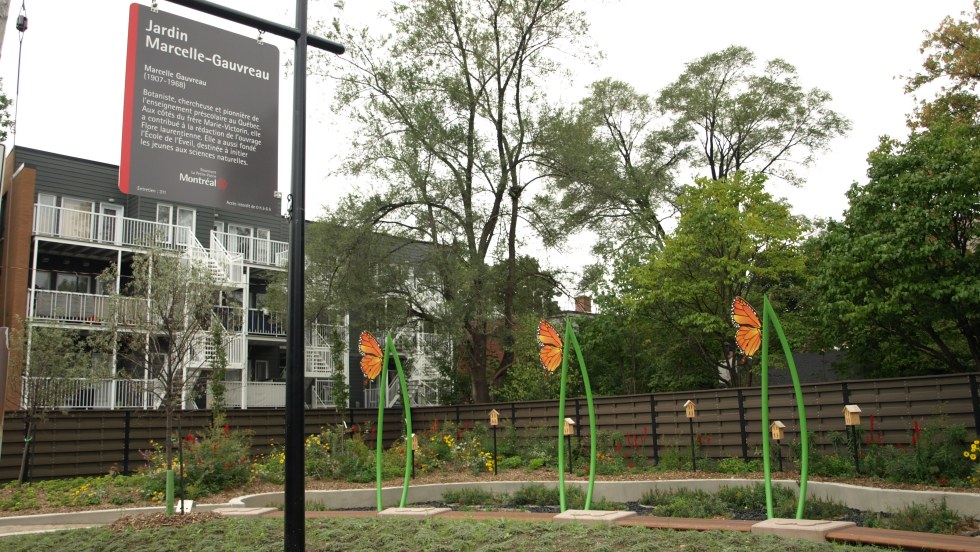 Le Jardin Marcelle-Gauvreau vise à créer un espace préservant la biodiversité.