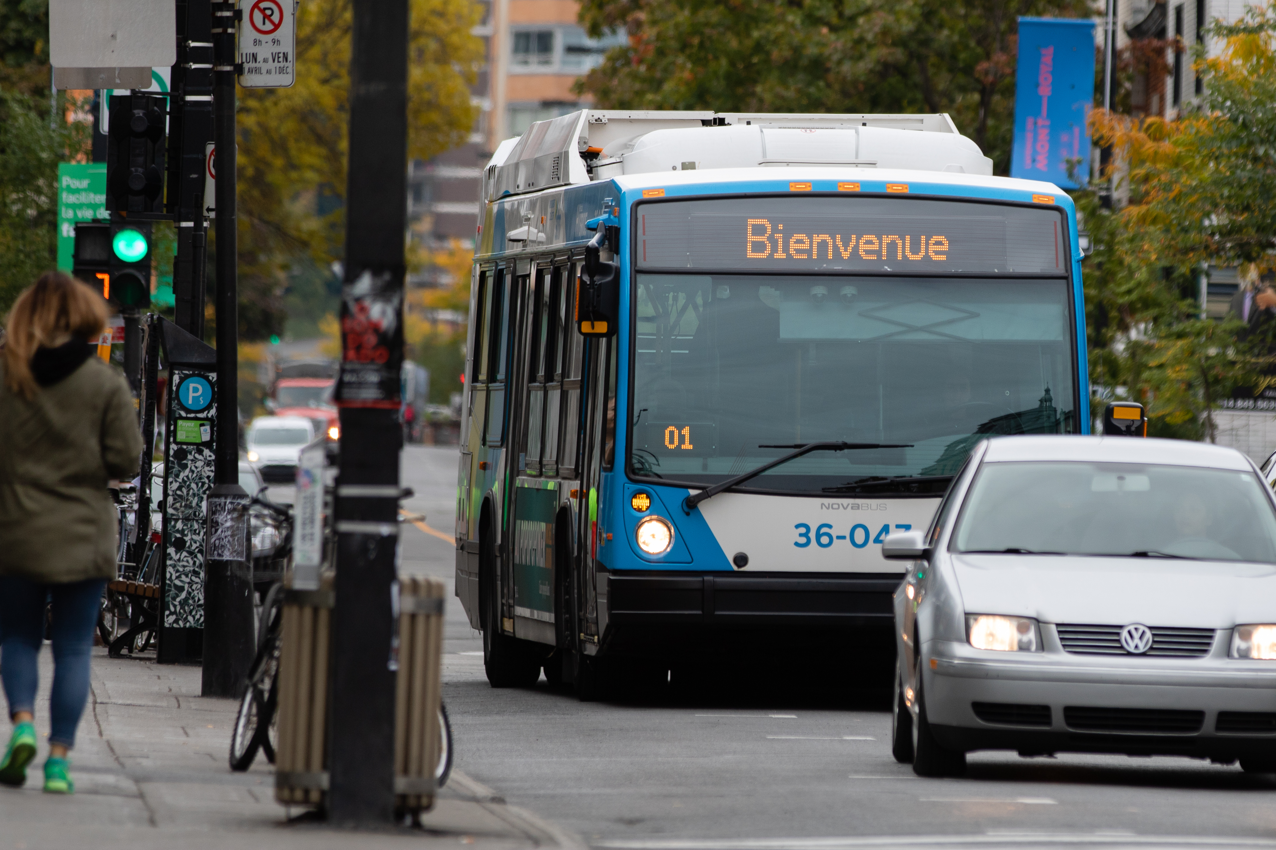 bus STM