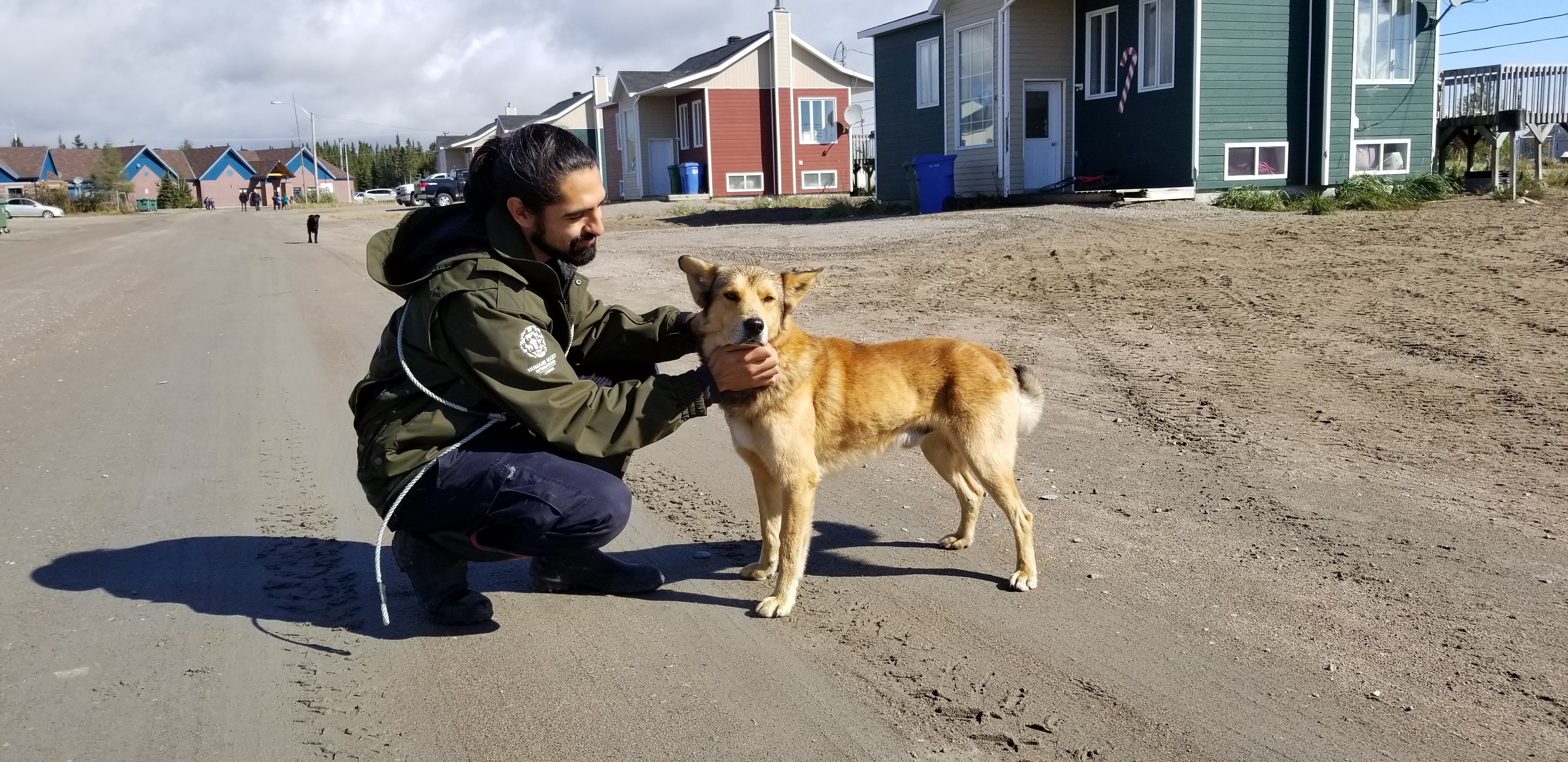 Un organisme de SaintHenri au secours des chiens errants
