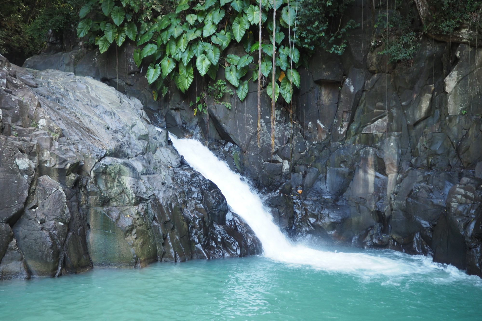 Les 1001 visages de la Guadeloupe