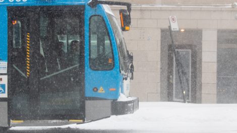 Le transport collectif se porte bien à Montréal, selon un rapport.