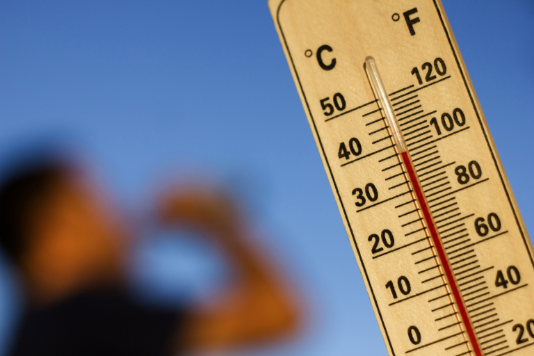 Canicule