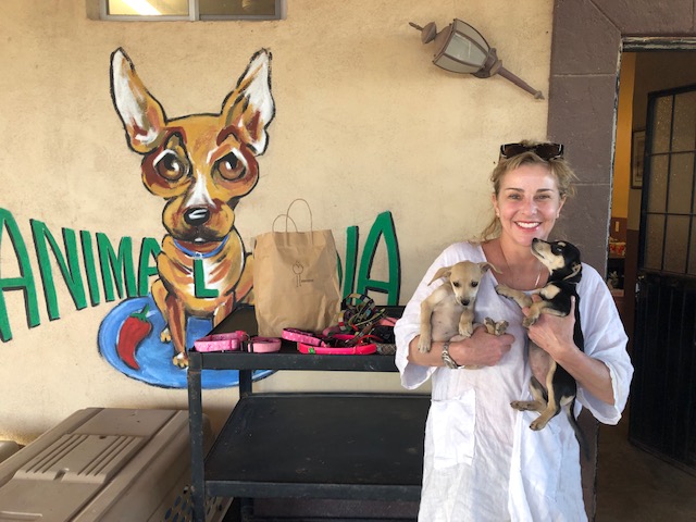 La Clinique Veterinaire De L Ile Des Soeurs A Participe A Un Voyage Humanitaire