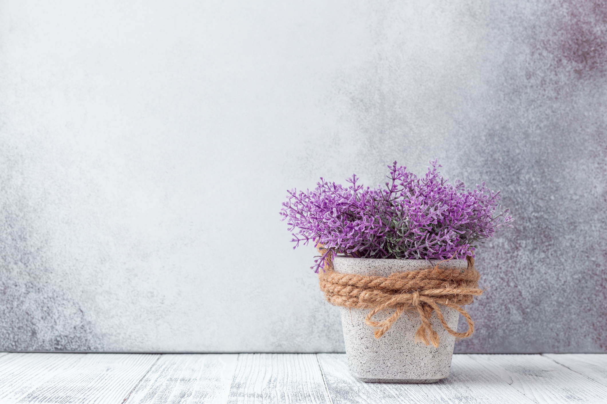 Rendez Vous Au Marché De Fleurs