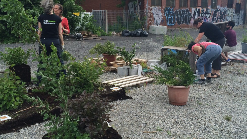Le terrain du parc des Gorilles a finalement été racheté par la Ville de Montréal.
