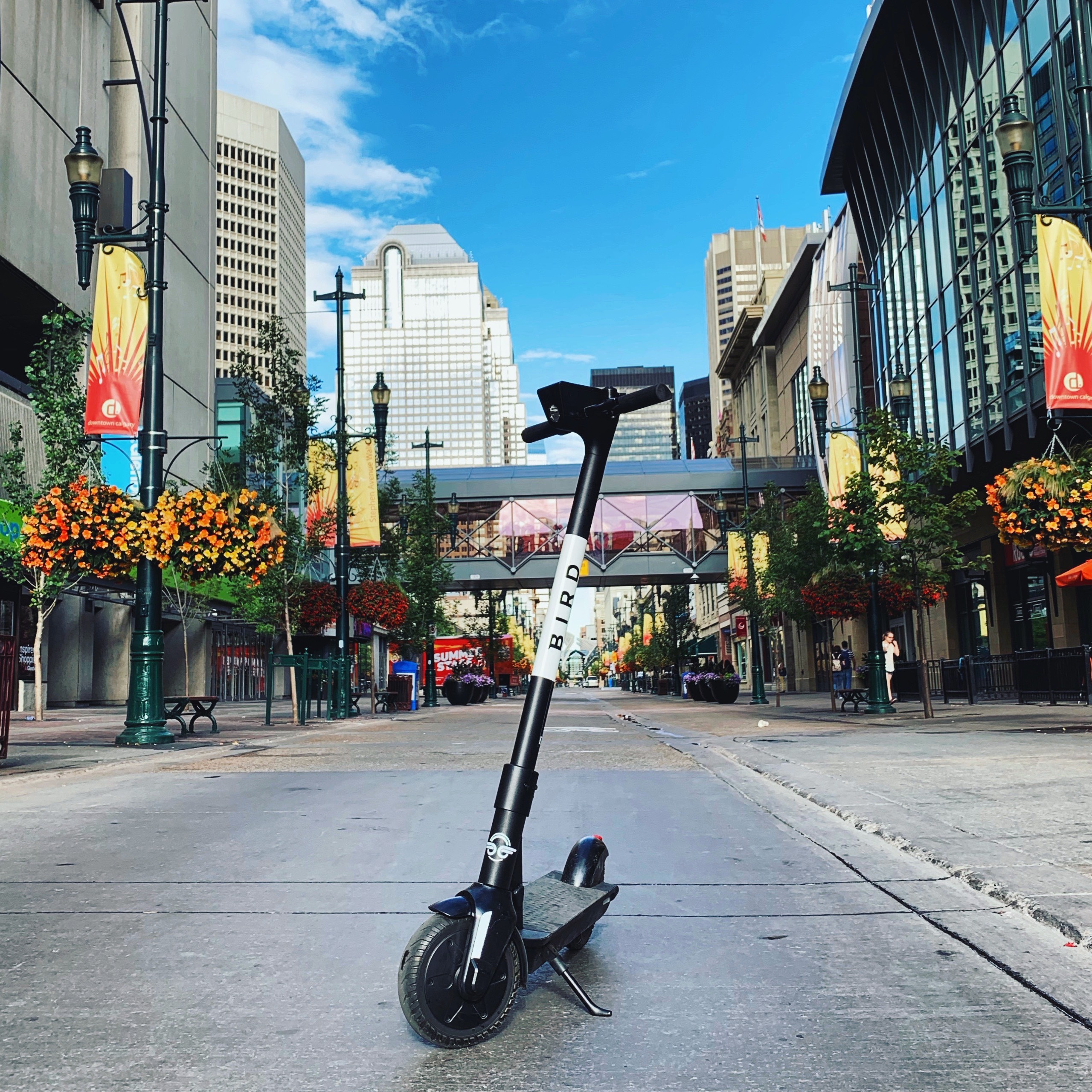 Une trottinette électrique de l'entreprise Bird sur une rue de Calgary.