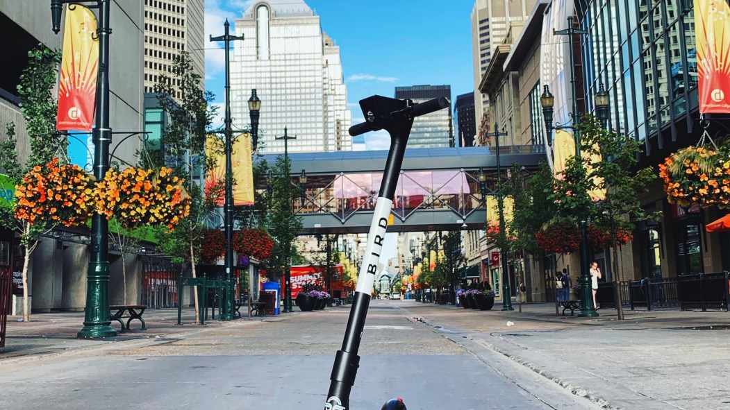 Une trottinette électrique de l'entreprise Bird sur une rue de Calgary.