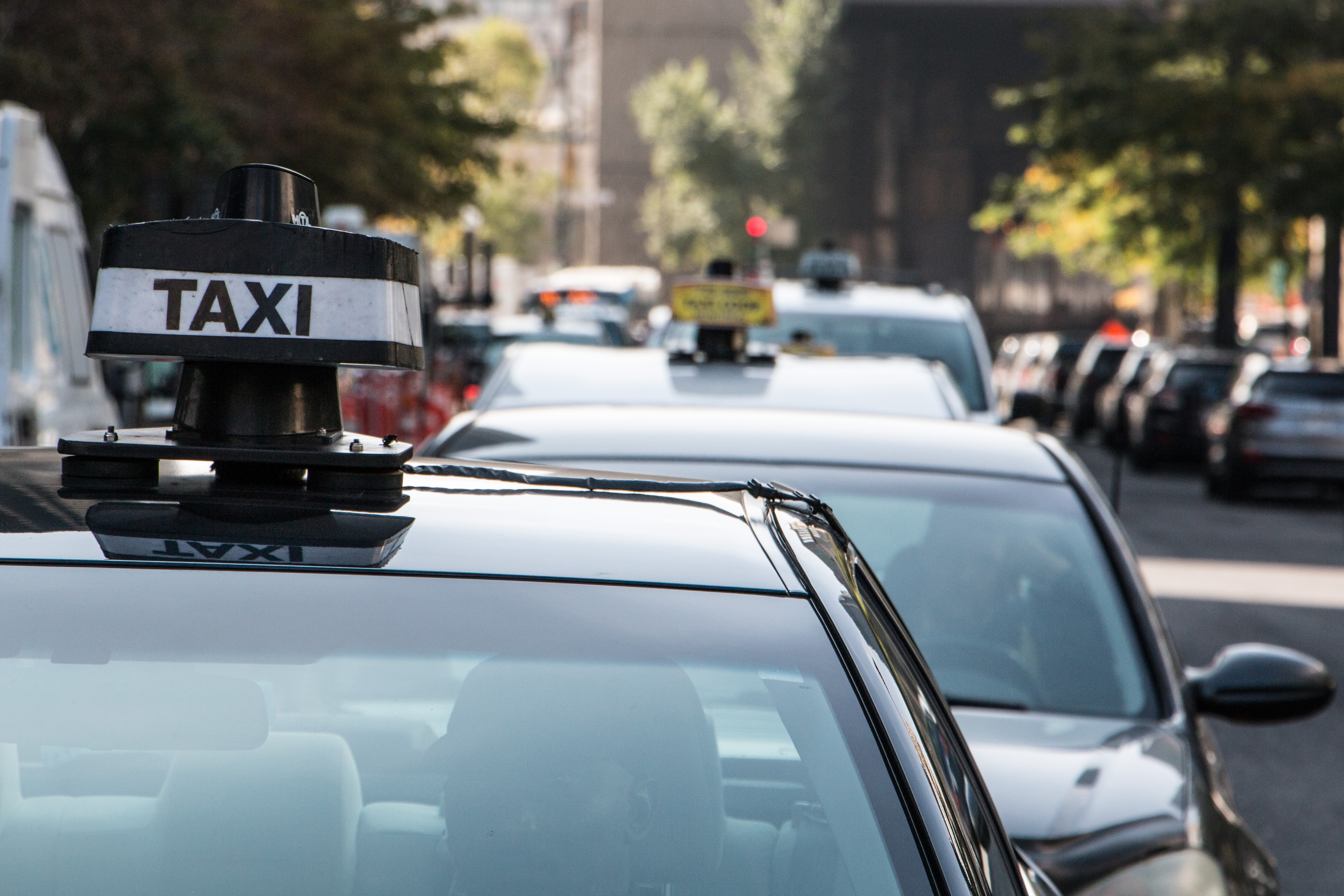 Une longue ligne de taxis défilent dans une rue bordée d'arbres lors d'une manifestation contre Uber.
