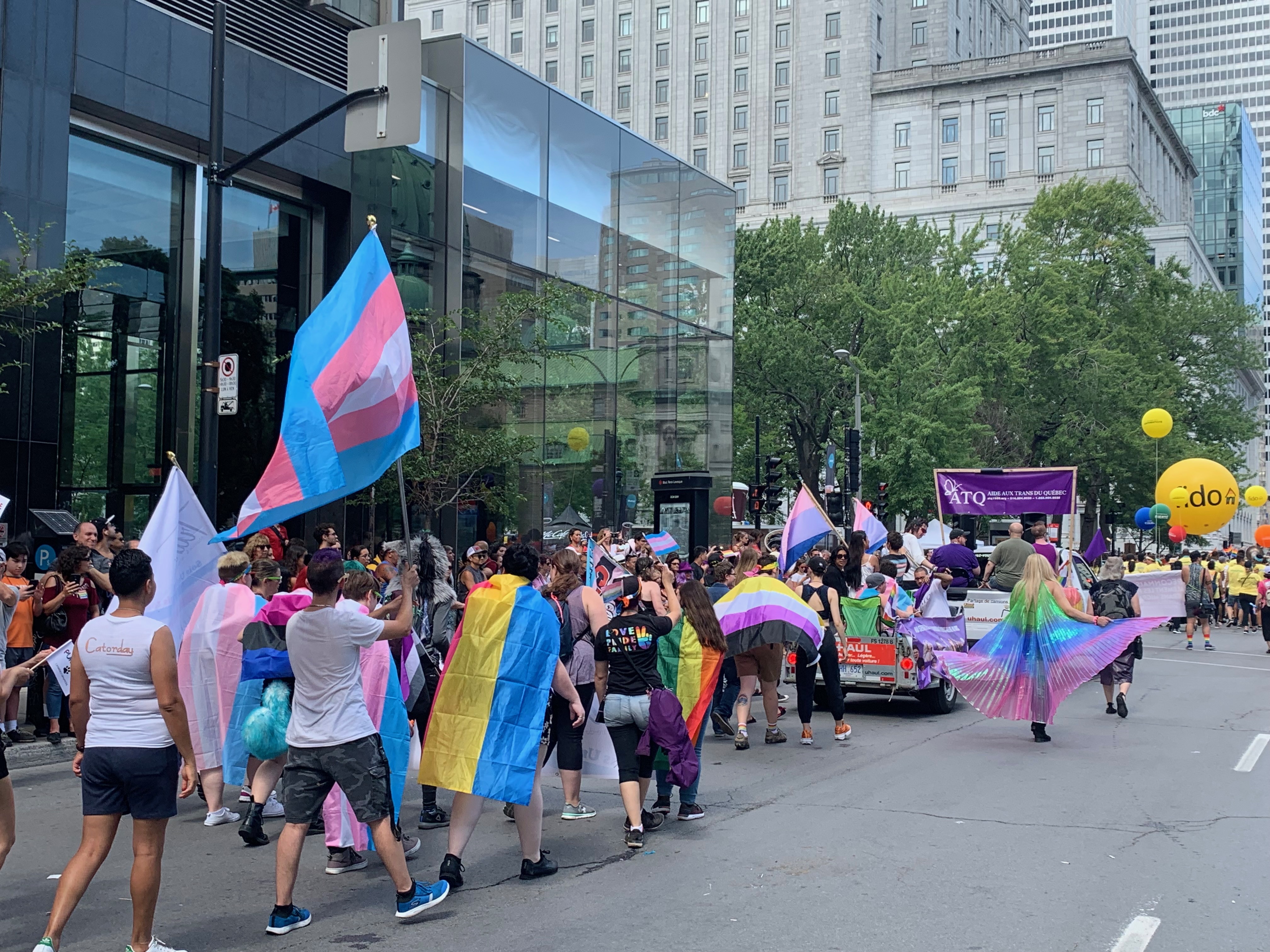 Le drapeau trans
