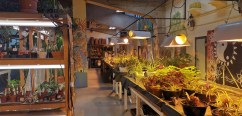 atelier horticulture Pinel