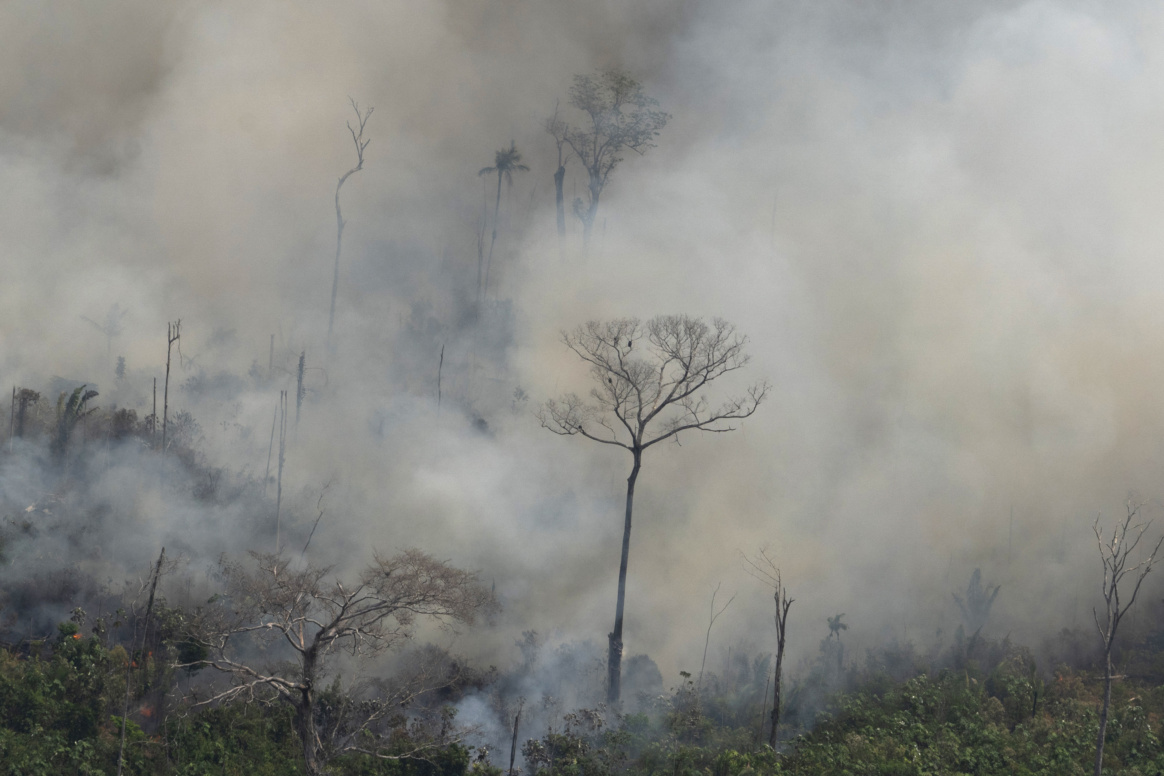 Un écran de fumée causé par les feux de forêt en Amazonie.