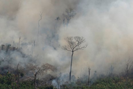 Un écran de fumée causé par les feux de forêt en Amazonie.