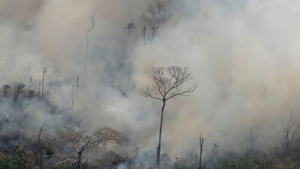 Un écran de fumée causé par les feux de forêt en Amazonie.