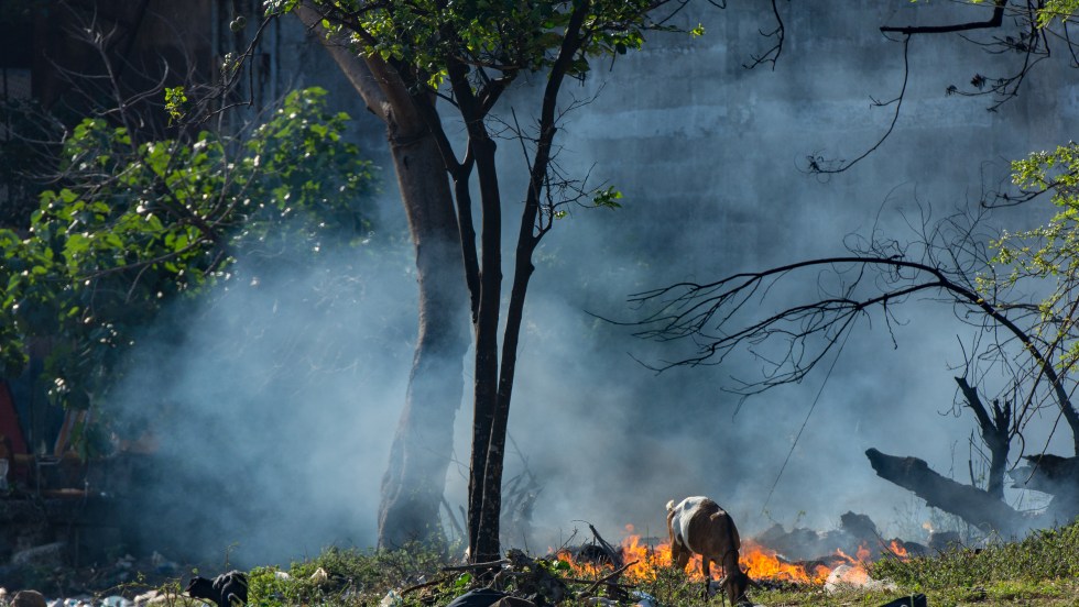 Feu de forêt en Afrique