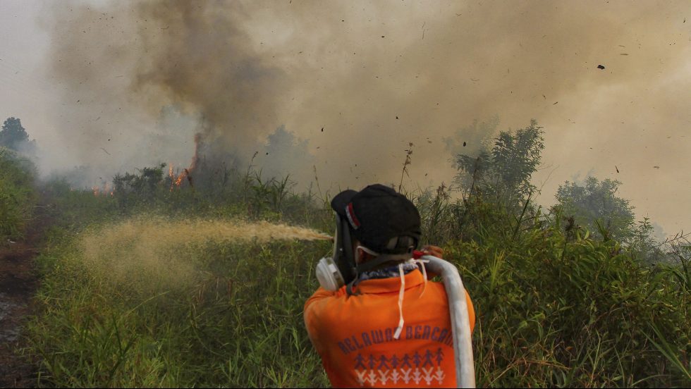 Feux de forêt en Indonésie