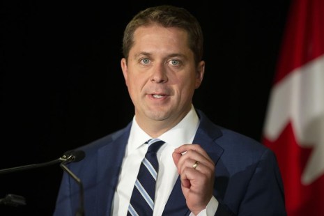 Andrew Scheer