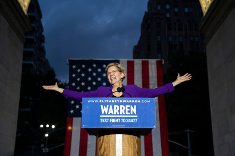 idées Elizabeth Warren