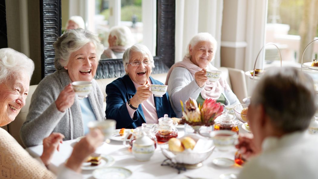 thé âge déclin cognitif études aging