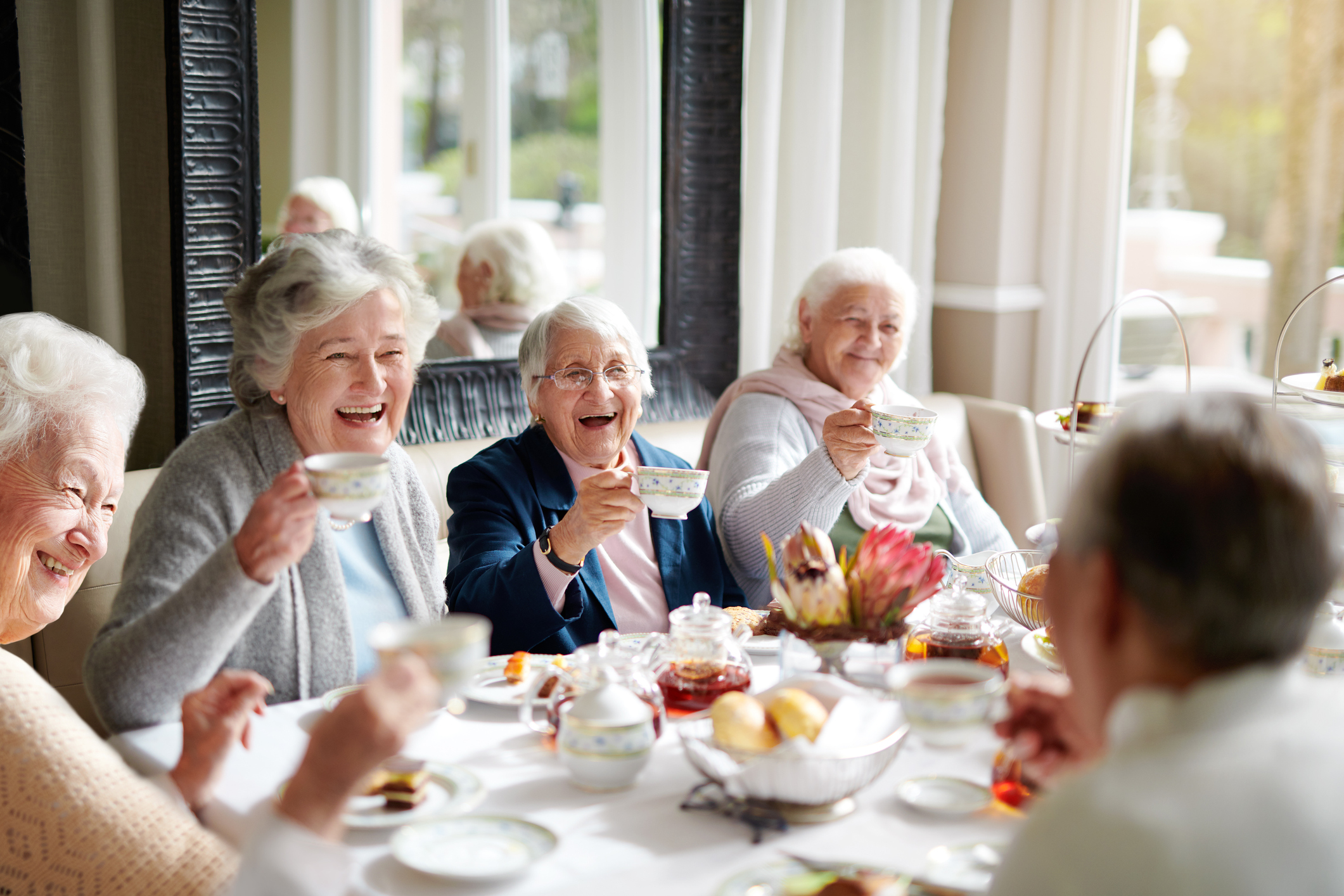 thé âge déclin cognitif études aging