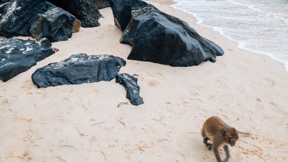 Ile aux singe au Vietnam