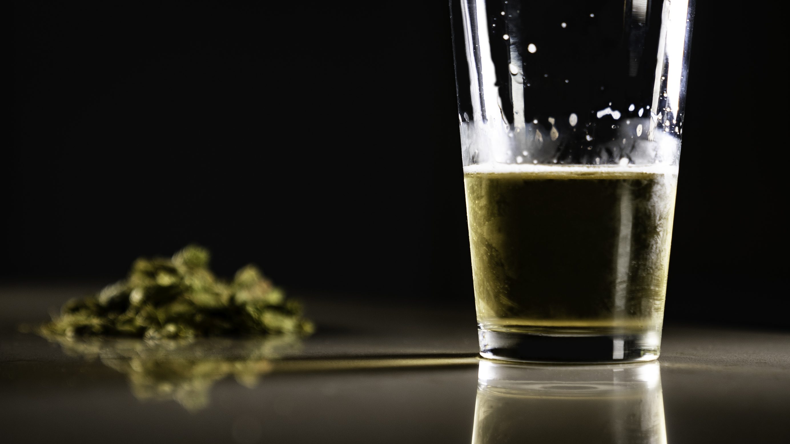 hollywood cannabis alcool