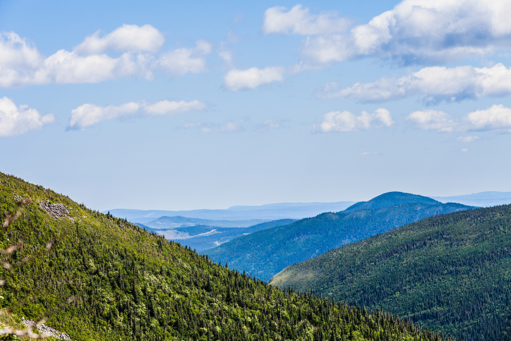 Parc national de la Jacques-Cartier