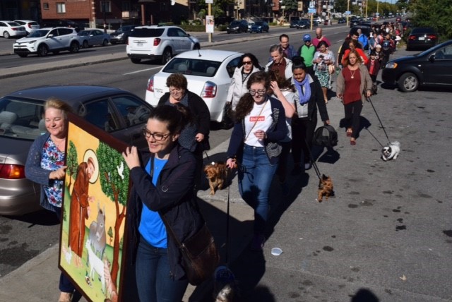 Bénir ses animaux dans RDP