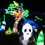 Festival de lanternes Feux Follets