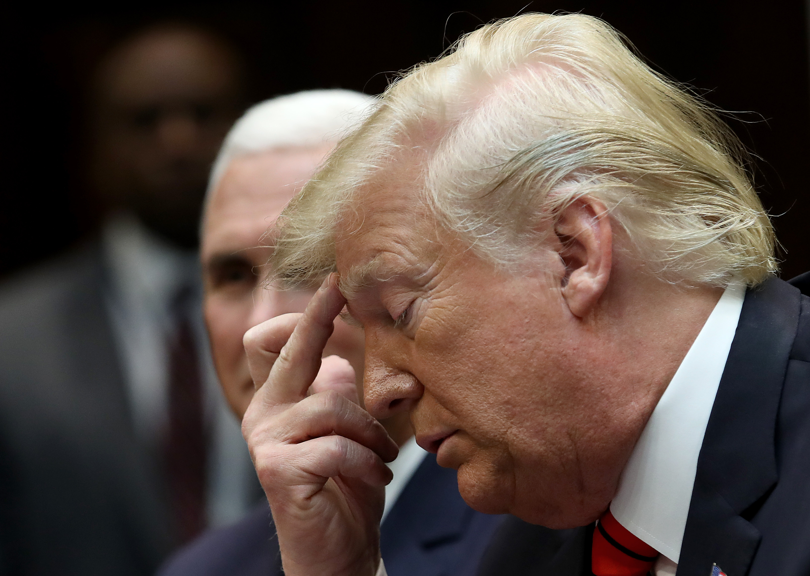 taupe Donald Trump
