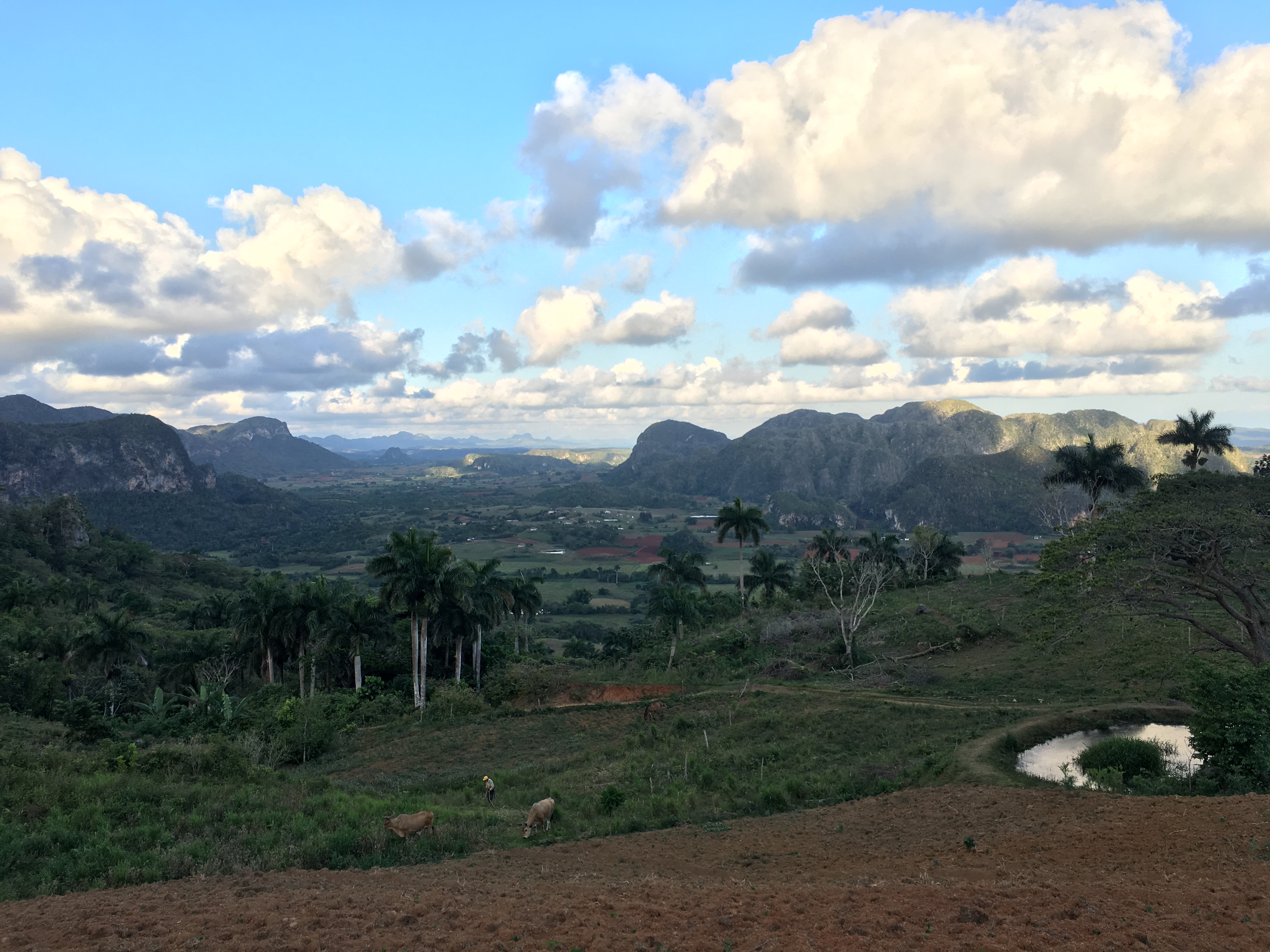 Cuba: Vallée de Viñales