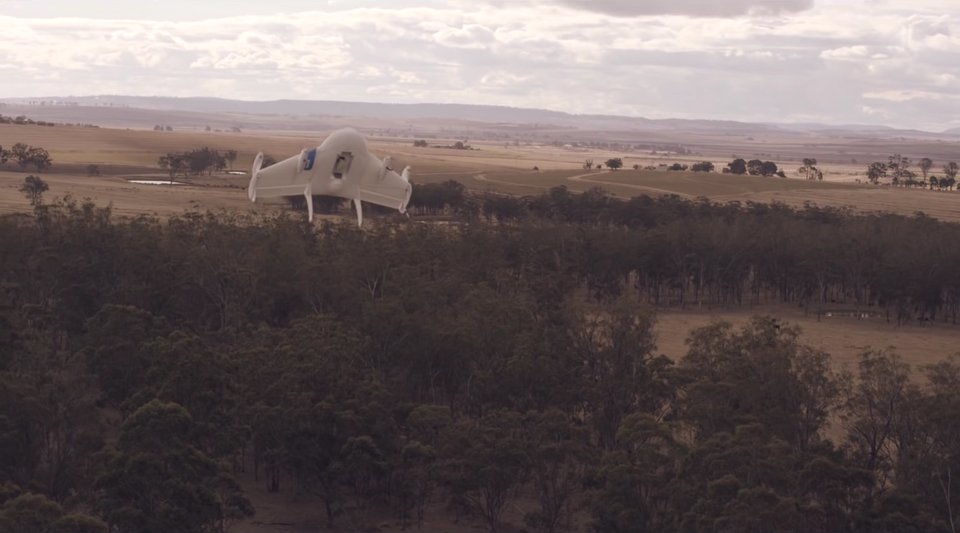Wing drone