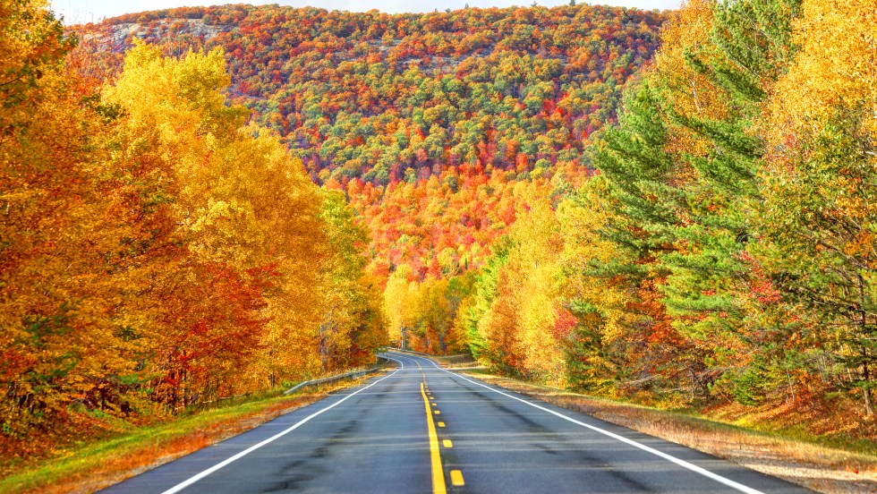 Une carte interactive pour suivre l’avancée des couleurs d’automne au Québec