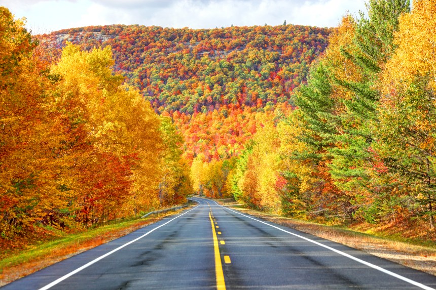 Une Carte Interactive Pour Suivre L Avancee Des Couleurs D Automne