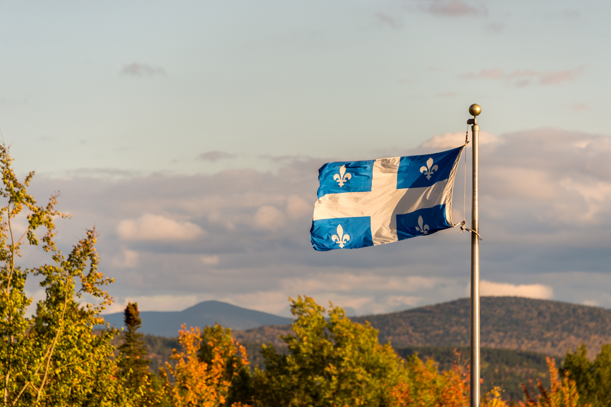 loi 101 Québec